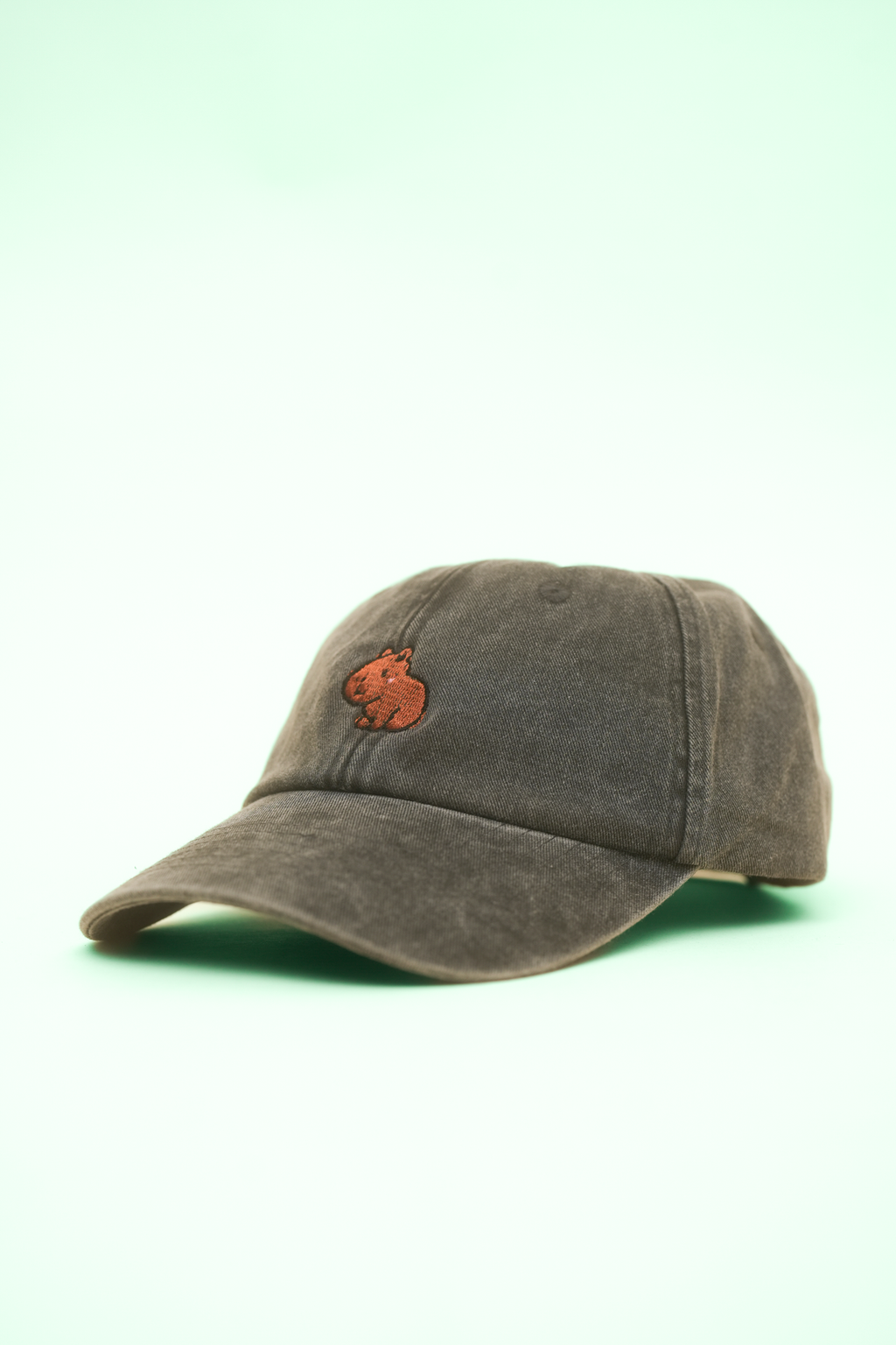 Capybara Geschenk für Sie & Ihn