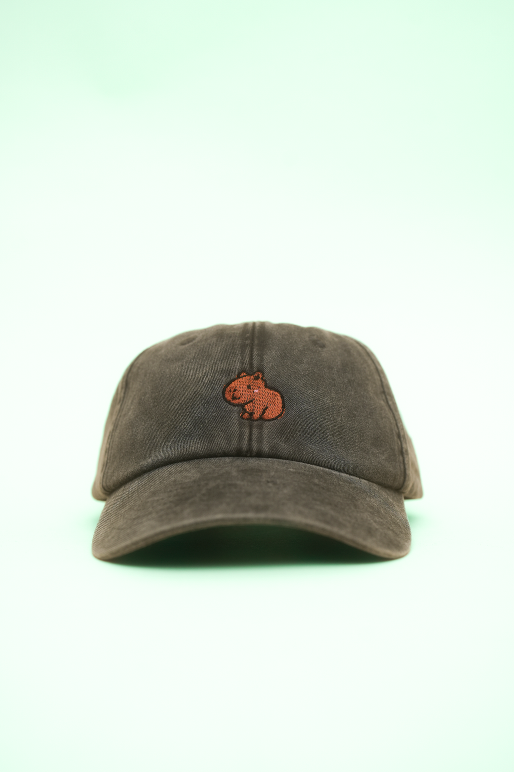 Capybara Geschenk für Sie & Ihn